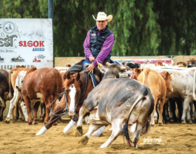 Scottsdale Rancher Trains Horses